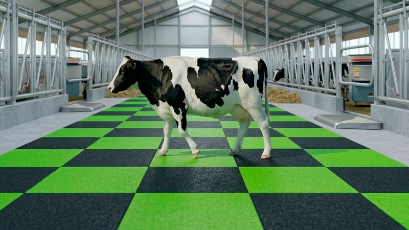 Durable agricultural rubber mats for livestock and cows to improve farm health